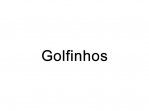 Golfinhos