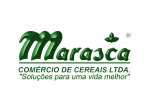 Marasca